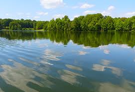 The Calm Lake by Mayeni Kpenge